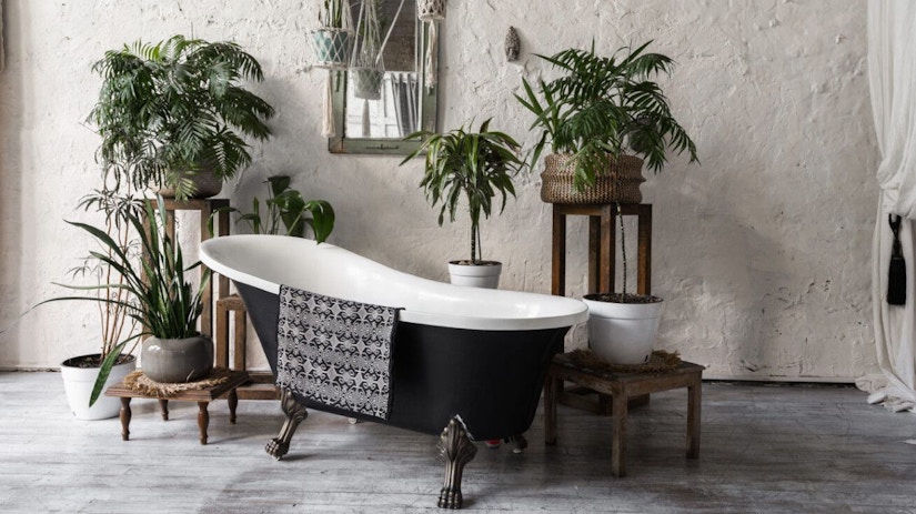 Eine freistehende Badewanne umringt von Pflanzen
