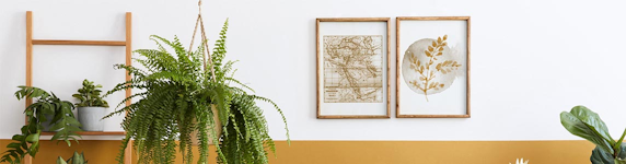 Poster & Wanddekoration Gutscheine & Angebote