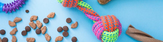 Tierzubehör: Gutscheine & Angebote