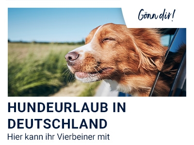 Hundeurlaub in DE banner