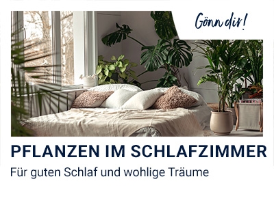 Pflanzen im SZ banner