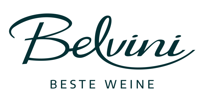 Logo von BELViNi