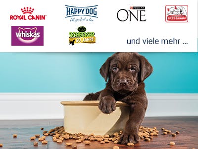 GRATIS: Futterproben für Hunde und Katzen