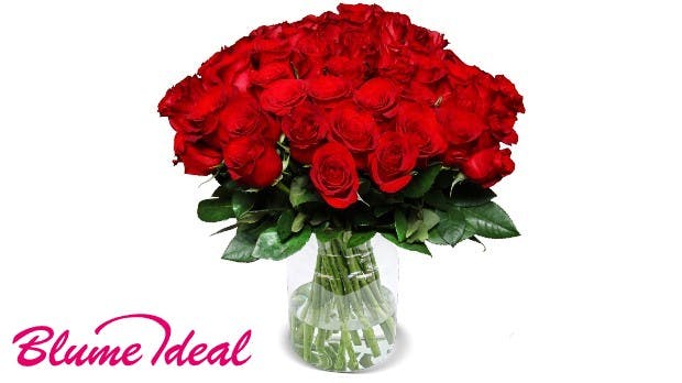 40 rote Rosen "classic red" (40 cm Länge) für 19,99€ + 5,99€ Versand
