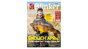 12 Monate "Blinker" für 84€ + bis zu 65€ Prämie