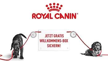 Kostenlose Welpen-Box für Hunde
