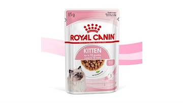Gratis Royal Canin Futterprobe für Kitten (Katzenkinder)